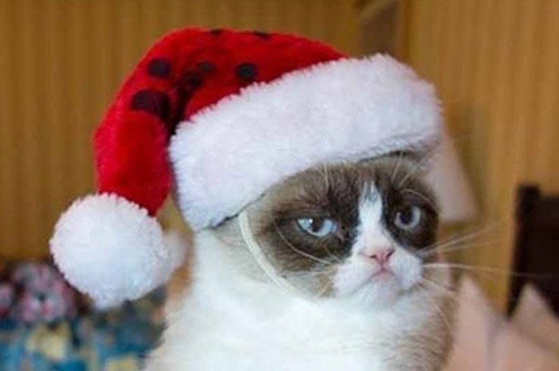 Создать мем: угрюмый кот, безудержное новогоднее веселье кот, безудержное веселье новый год