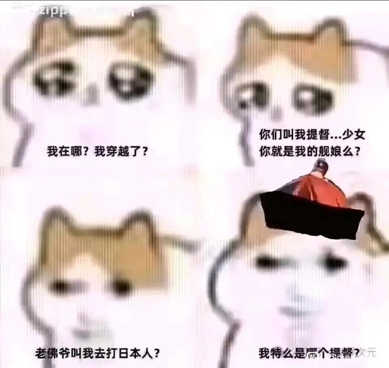Create meme: memes , kamikaki seals, animals memes 