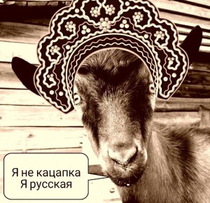 Create meme: goat, sheep, animals