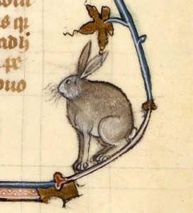 Create meme: rabbit , hare , manuscript 