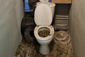 Create meme: the toilet, toilet, dirty toilet