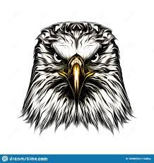 Create meme: eagle head, the head of an eagle