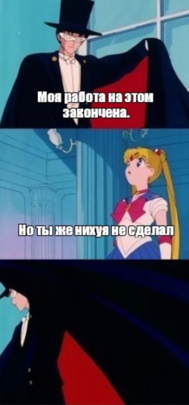 Create meme: my job is done here, but you didn't do anything., My work is done but you haven't done anything, sailor moon