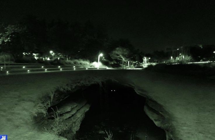 Create meme: football field , green island cherkessk at night, Park 