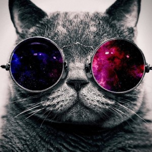 Create meme: cat in glasses, screensaver cat in glasses, Wallpapers with cat in glasses