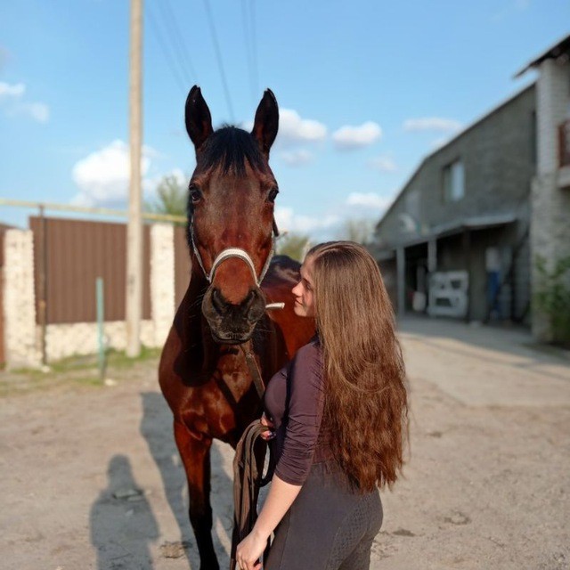 Create meme: the love of horses, equestrian sports complex, horse 
