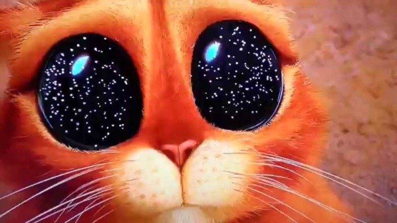 Create meme: cat eyes from Shrek, puss in boots cute eyes, cute eyes