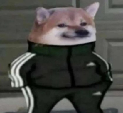 Create meme: a dog in adidas, siba gopnik, a dog in an adidas meme suit