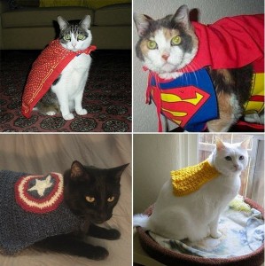 Create meme: cat, cat Superman, hero cat