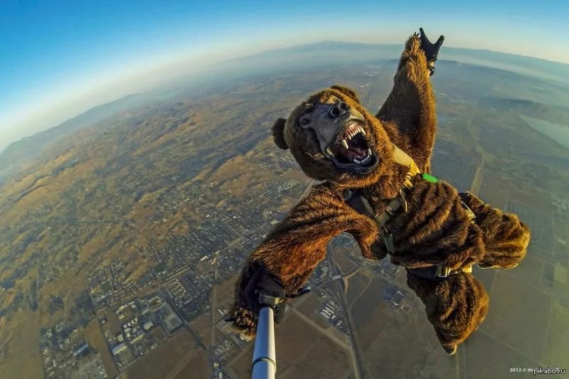 Создать мем: медведь, смешной парашютист, прыжок с парашютом
