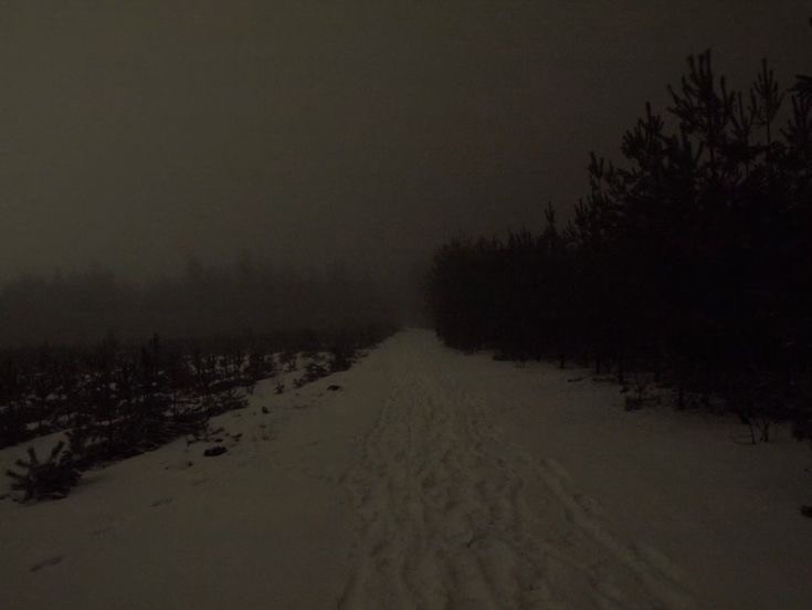 Create meme: darkness, the nature of the road, nature snow