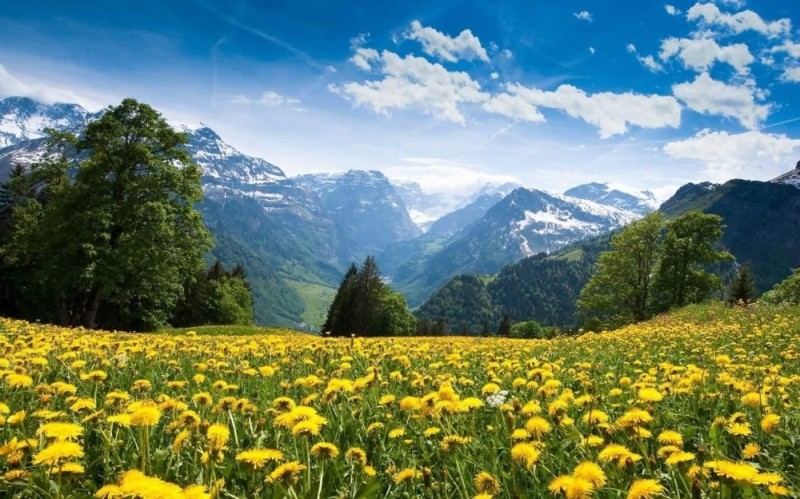 Create meme: mountains summer, mountains nature , alpine nature is beautiful