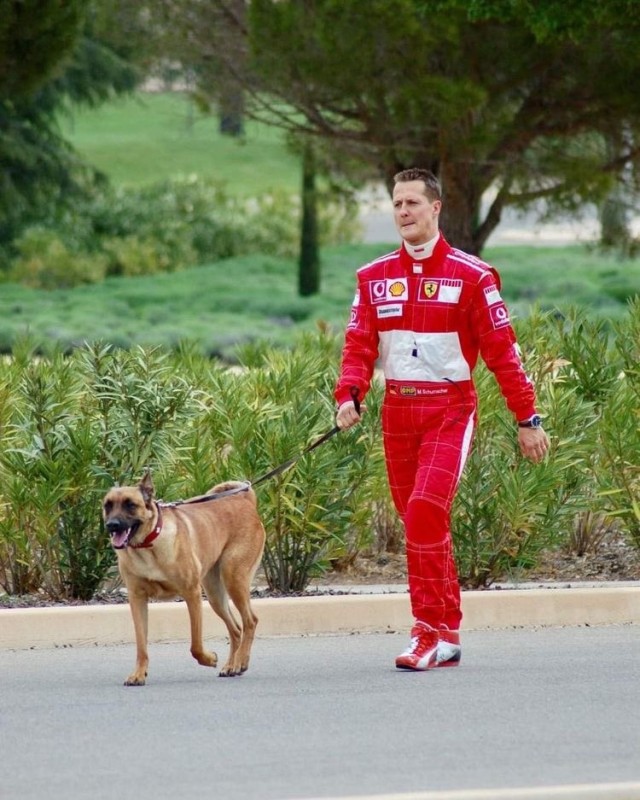 Create meme: dog, Sebastian Vettel , Michael Schumacher