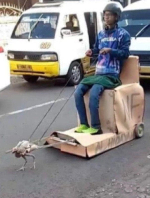 Create meme: a chicken drags a cart, motor transport, fun 