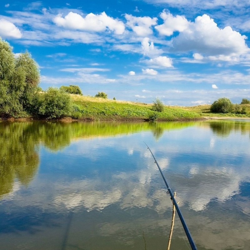 Create meme: summer fishing, fishing nature, fishing in the summer