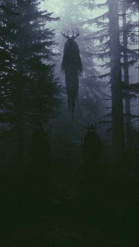 Create meme: dark photos, Lucio rimanets art, the forest is scary