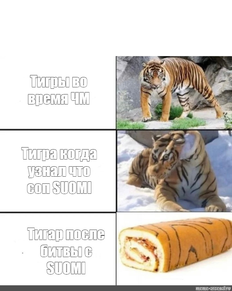 Рулет мем. Тигр мемы. Мем про тигра. Тигрица Мем. Мем ТИГП.