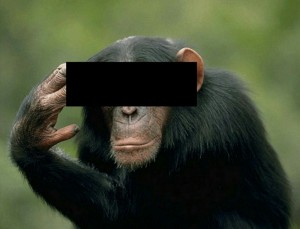 Создать мем: черная обезьяна, приматы, обезьяна