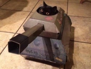 Создать мем: танк из картона для кота, коты в картонных танках, кот танк