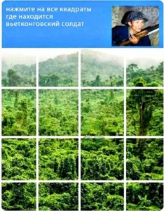 Create meme: tropics, nature, window