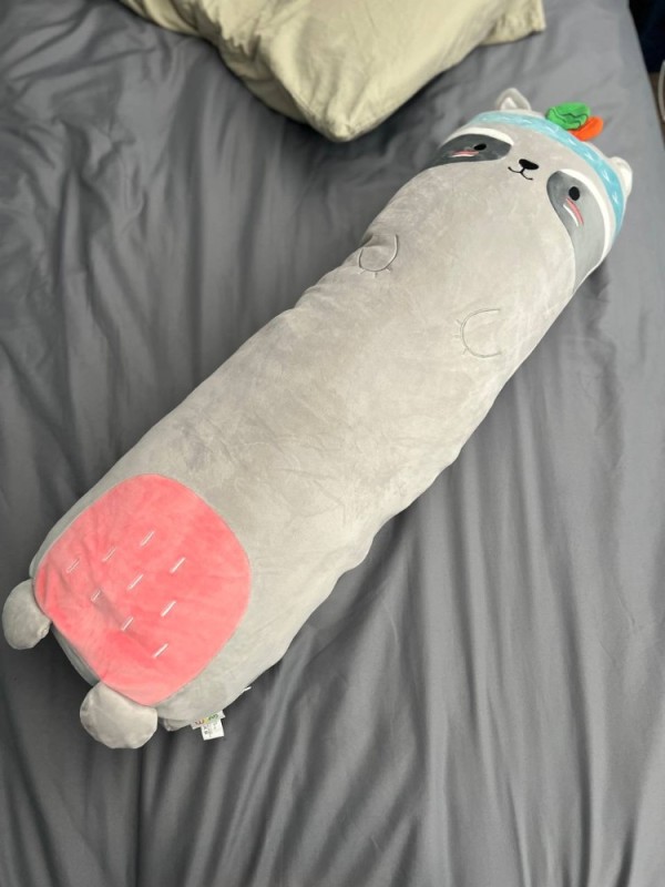 Create meme: soft toy long cat, The cat pillow is long, toy pillow cat