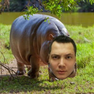 Create meme: Hippo, the Hippo and the Hippo, Hippo