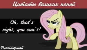 Создать мем: mlp, equestria, флаттершай