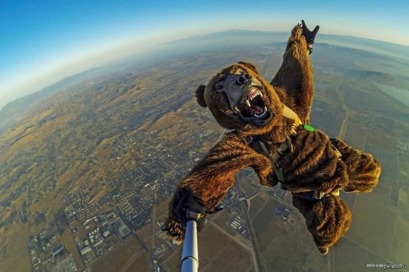 Create meme: parachute jump, parachute , selfie with a bear