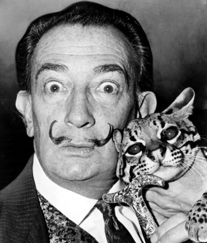 Create meme: Salvador Dali , Salvador Dali with an anteater, surrealist salvador dali