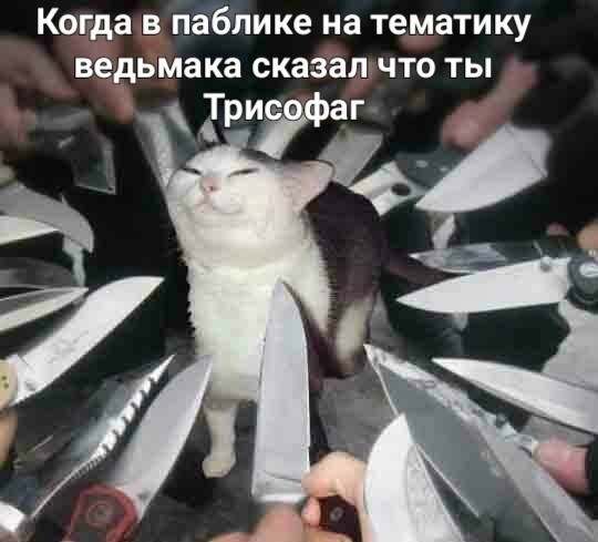 Создать мем: котик с ножом, кот с ножами вокруг, коты с ножами