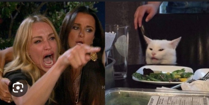 Создать мем: женщина кошка мем, мем бабы и кот, мем женщина и кот