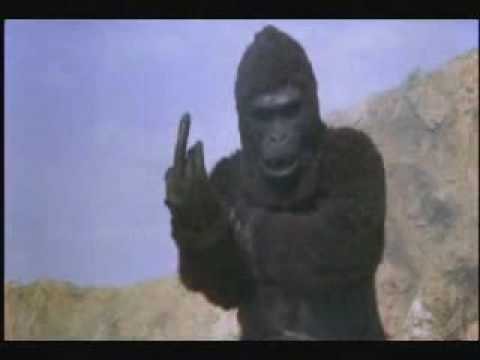 Создать мем: обезьяна с факом, новый кинг конг 1976, горилла кинг конг