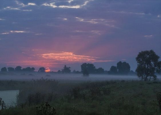 Create meme: sunset , morning landscape, at dawn