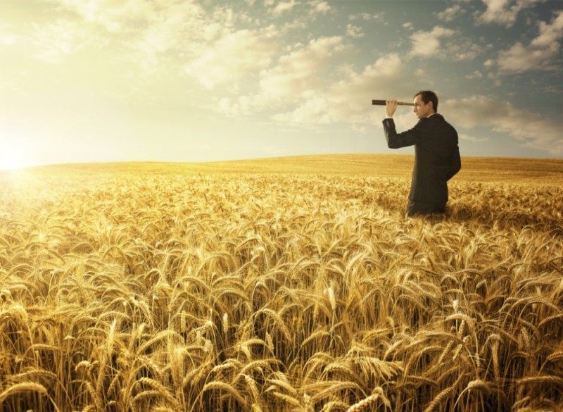 Создать мем: человек в поле пшеницы, поле пшеницы, человек с биноклем в поле