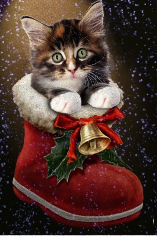 Create meme: animated New Year's cats, christmas cat , merry christmas cat