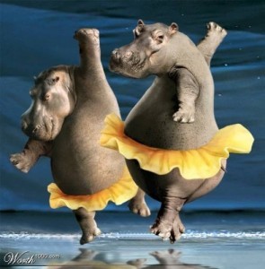 Create meme: Hippo funny pictures, pictures of the weekend fun, funny Hippo pictures