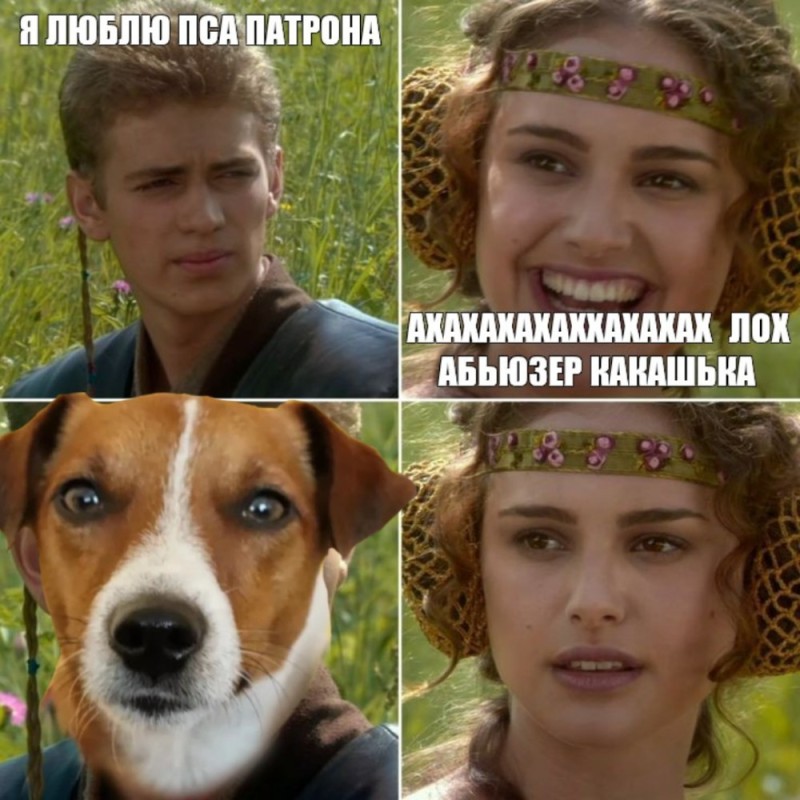 Create meme: Anakin and Padme on a picnic, memes , Padme and Anakin