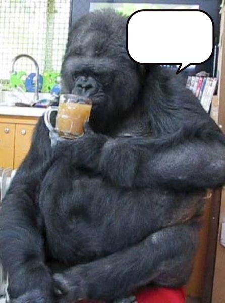 Create meme: the gorilla Koko, gorilla , big gorilla