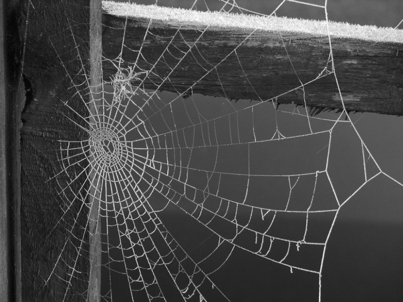 Create meme: cobwebs in the corner, the web is black, cobwebs in the house