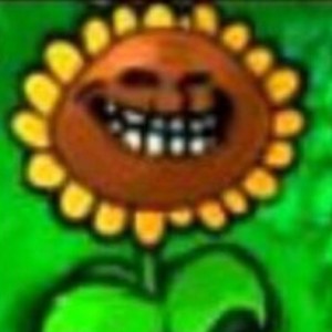 Create meme: sunflower from plants vs zombies