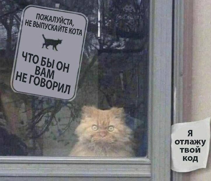 Создать мем: кот кот, кота не пускать, не верь коту