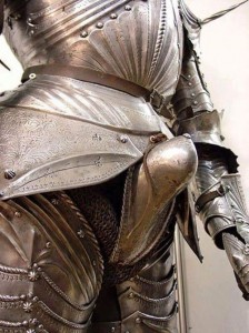 Create meme: armour, fly photo, how defecate knights in armor