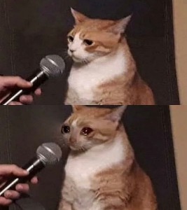 Create meme: cat, meme cat, cat with microphone meme