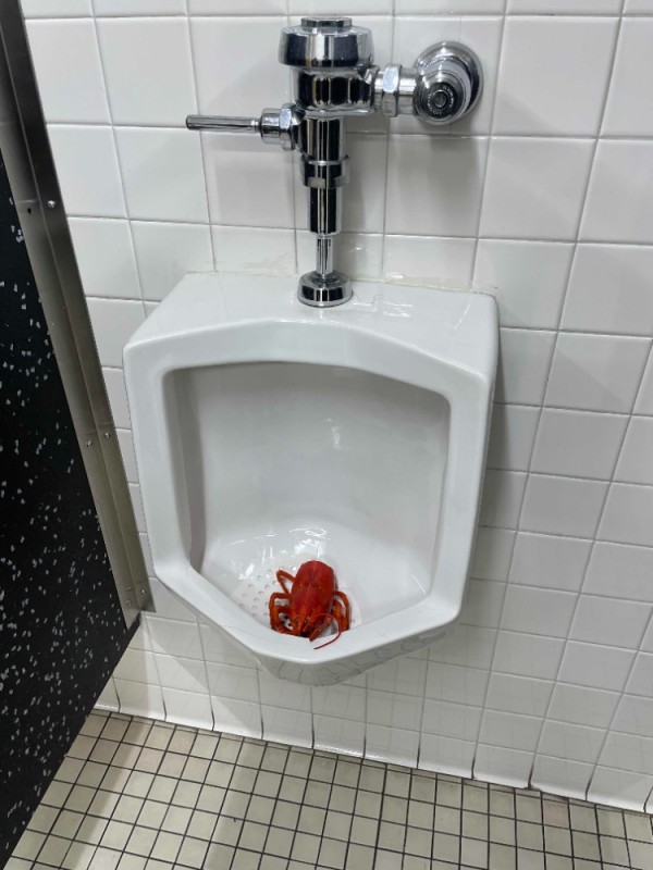 Create meme: a urinal or urinal, urinal , toilet 