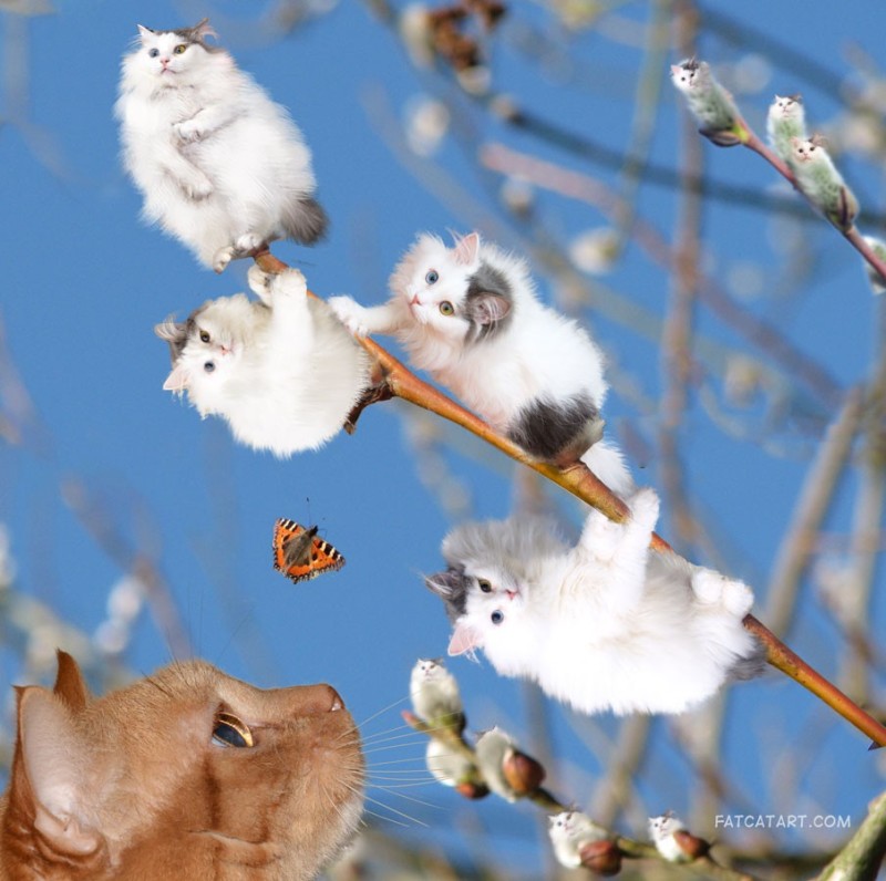 Создать мем: вербное воскресенье котики, вербные коты, весна верба