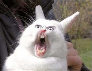 Create meme: screaming rabbit, meme rabbit, screaming hare