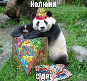 Создать мем: funny panda pictures, happy birthday, happy birthday to me panda
