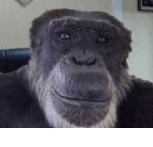 Создать мем: горилла мем, обезьяны мем, ладно обезьяна