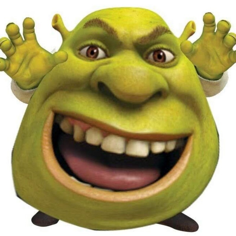 Create meme: Shrek meme face, Shrek Shrek, the head of Shrek