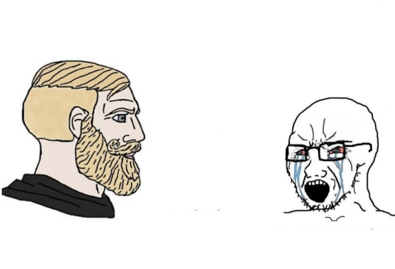 Создать мем: бородатый альфа мем, chad wojak, чел с бородой мем